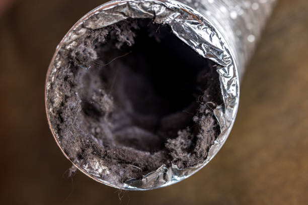 Best Best Air Duct Cleaning Company  in Richmond, MN