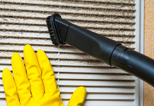 Best Air Duct Cleaning Near Me  in Richmond, MN